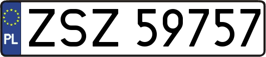 ZSZ59757