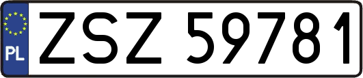 ZSZ59781