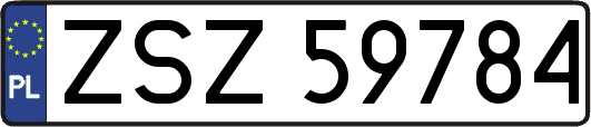 ZSZ59784