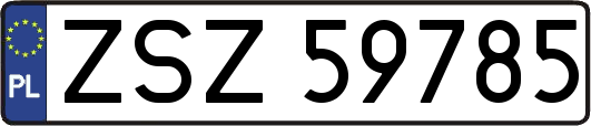 ZSZ59785