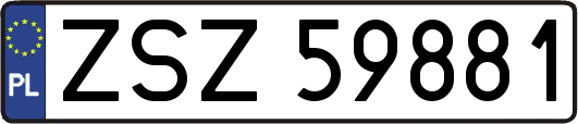 ZSZ59881