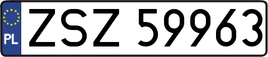 ZSZ59963