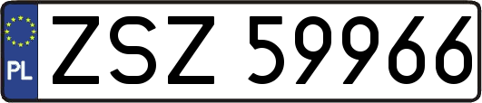 ZSZ59966