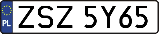 ZSZ5Y65