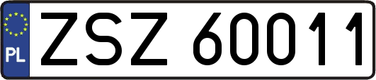 ZSZ60011
