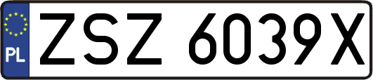 ZSZ6039X