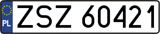 ZSZ60421