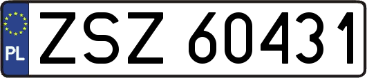 ZSZ60431