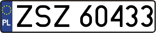ZSZ60433