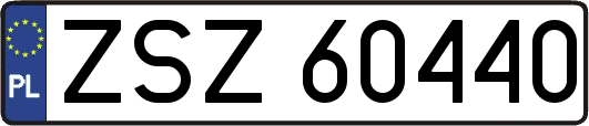 ZSZ60440