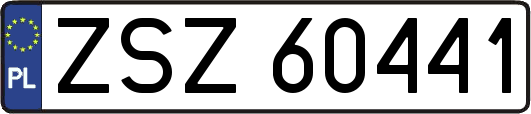 ZSZ60441