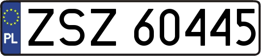 ZSZ60445
