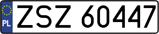 ZSZ60447