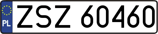ZSZ60460