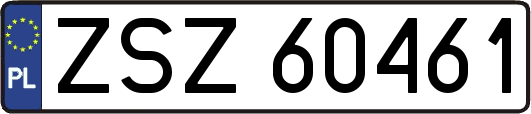 ZSZ60461