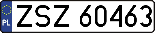 ZSZ60463