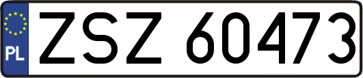 ZSZ60473