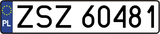 ZSZ60481