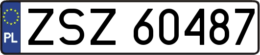 ZSZ60487