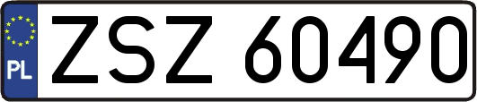 ZSZ60490