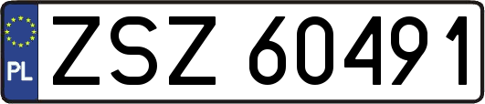 ZSZ60491