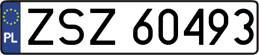 ZSZ60493