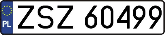 ZSZ60499