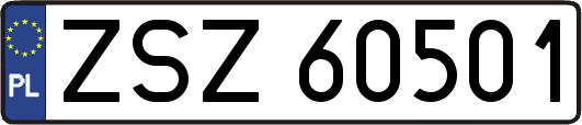 ZSZ60501
