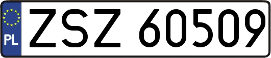 ZSZ60509