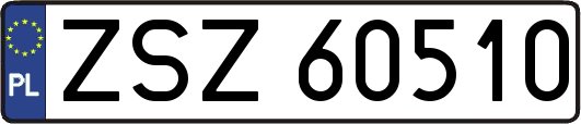 ZSZ60510