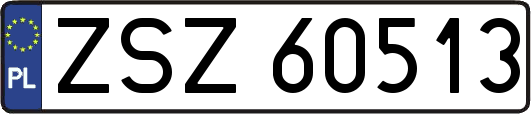 ZSZ60513