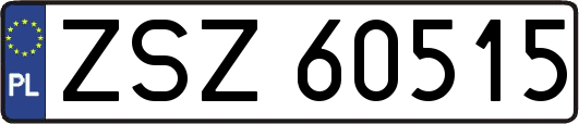 ZSZ60515