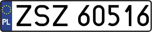 ZSZ60516