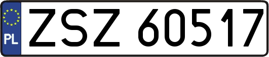 ZSZ60517