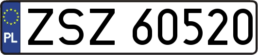 ZSZ60520