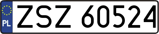 ZSZ60524