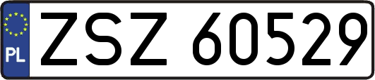 ZSZ60529