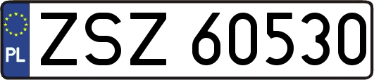 ZSZ60530