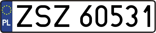 ZSZ60531
