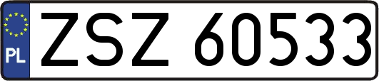 ZSZ60533