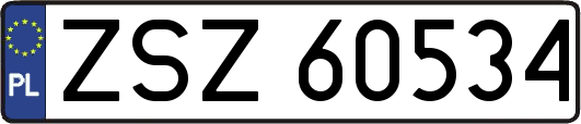 ZSZ60534