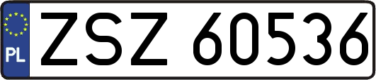 ZSZ60536