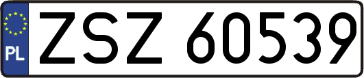 ZSZ60539