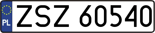 ZSZ60540
