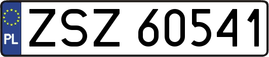ZSZ60541