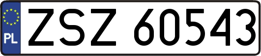 ZSZ60543
