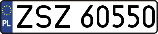 ZSZ60550