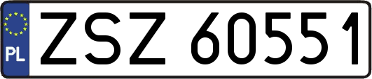 ZSZ60551