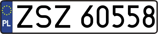 ZSZ60558