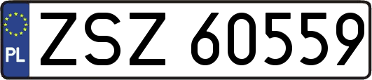ZSZ60559